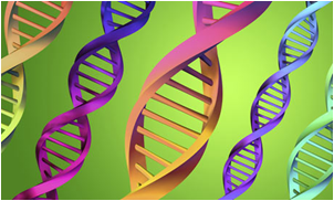 DNA sequence